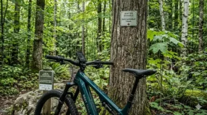 Minimalist art of an ebike leaning against a maple tree, representing sustainable outdoor recreation in Canada.