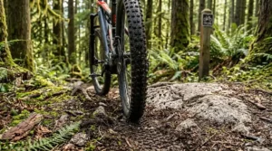 A rider using pedal-assist on a steep, root-filled technical climb in a Whistler temperate rainforest. / Un cycliste utilisant l'assistance au pédalage sur une montée technique à Whistler.