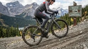 Best gravel ebike leaning against a park sign in a Canadian National Park, emphasizing eco-friendly exploration.