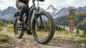 Stylized graphic of a fat tire electric bike parked on a sandy beach on Vancouver Island during sunset.