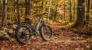 Exploring the sandy shores of Prince Edward Island on a 4 season fat tire electric bike.