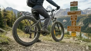 Eco-conscious illustration of a commuter riding a fat tire ebike past a Montreal skyline, highlighting green transportation.