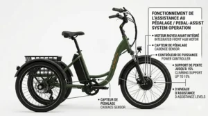 Technical diagram showing a semi-transparent phantom senior rider seated with correct posture on an ergonomic electric trike, with extensive bilingual call-out labels.