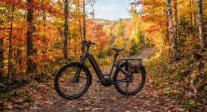 A premium electric bike parked on an autumn trail surrounded by colourful Canadian fall foliage.